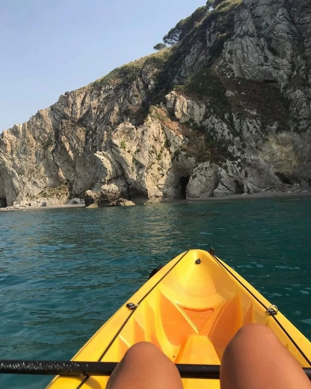 Attività